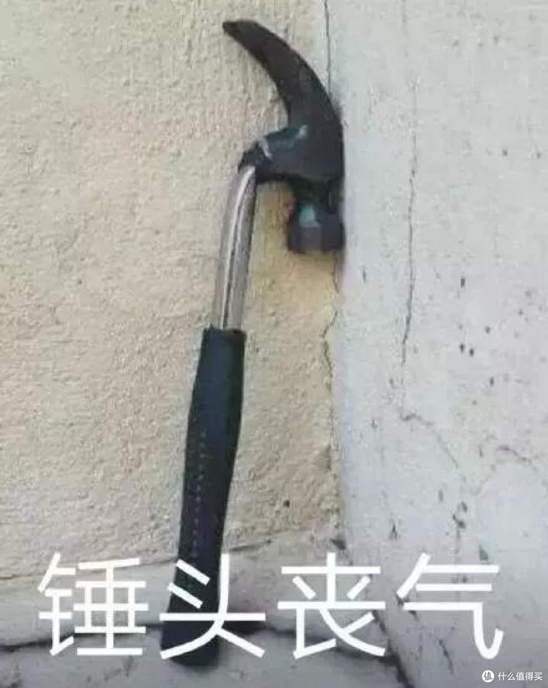 成年人每天都活在薛定谔的意外中