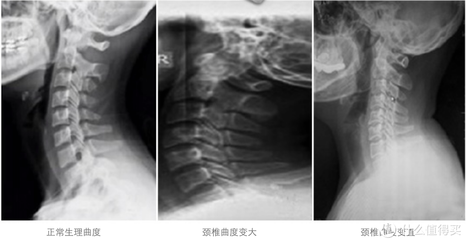 618羽绒枕评测618羽绒枕哪款好 什么值得买