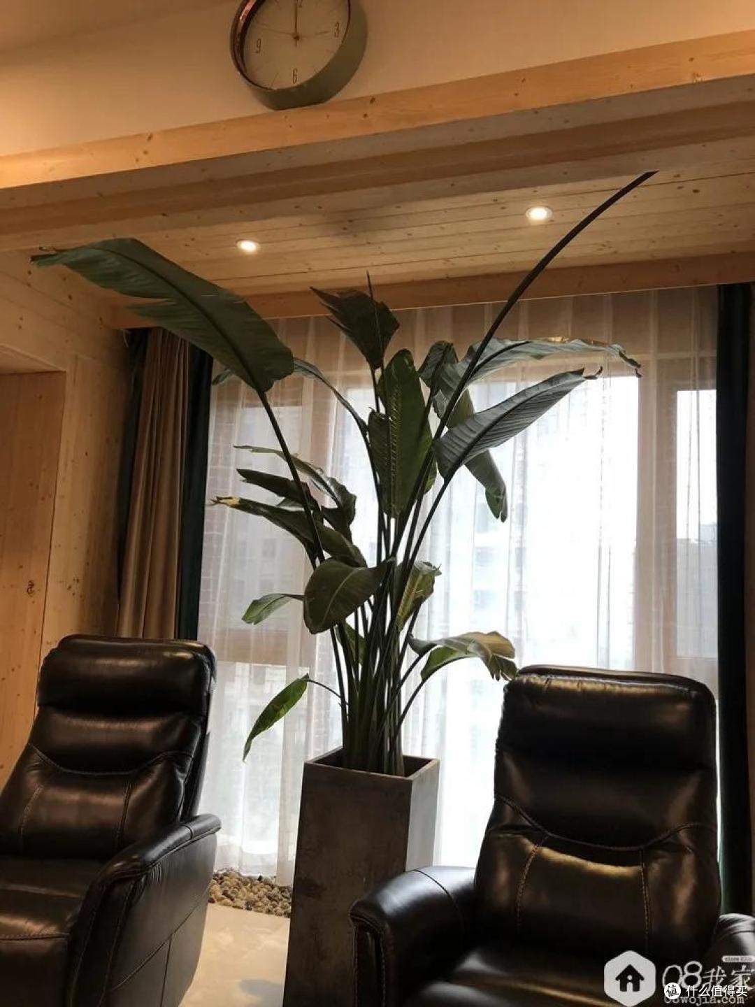 不管变美还是变丑,都是七十二变