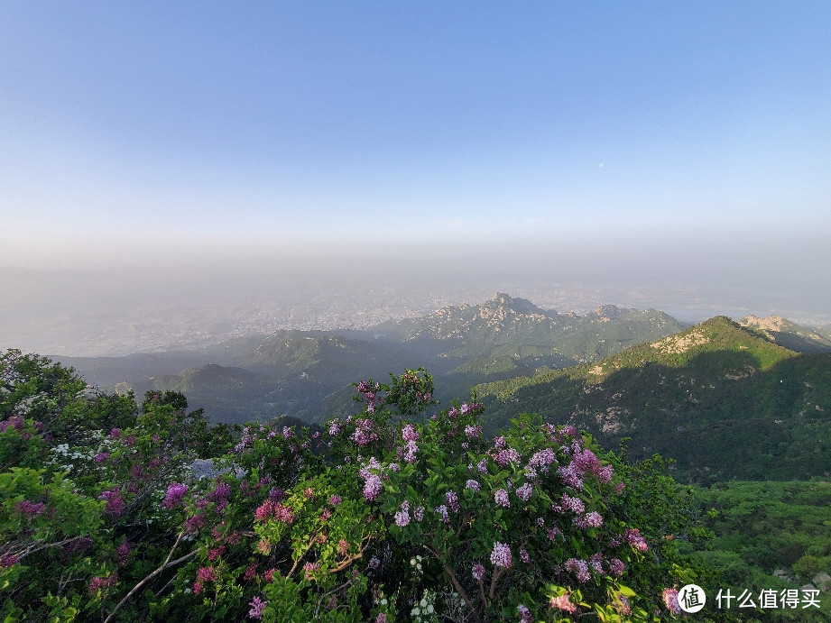 瞻鲁台