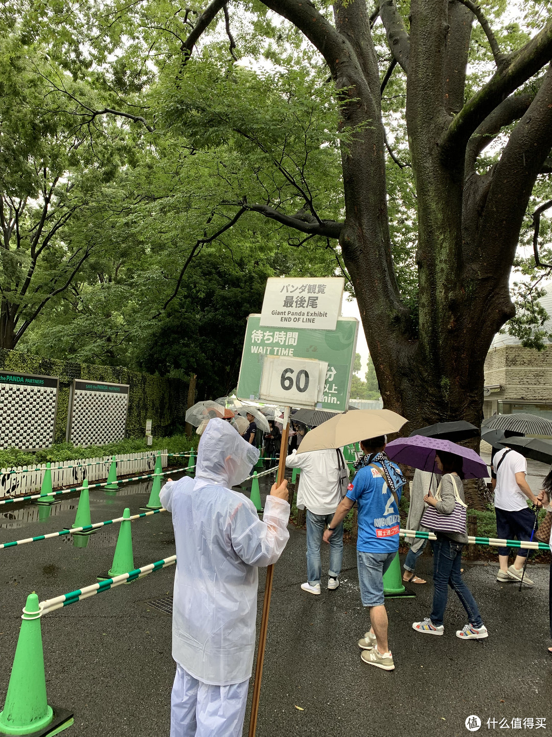 记一次远古时代日本游记：东京养生游