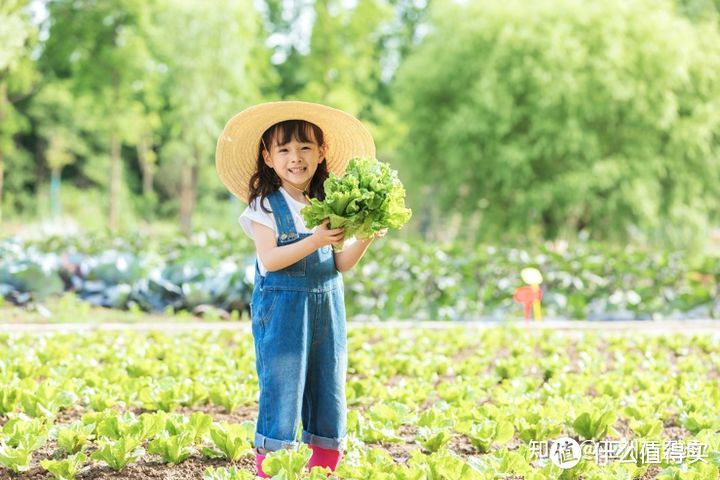 城市的孩子，除了去上兴趣班，还可以有哪些亲子活动？