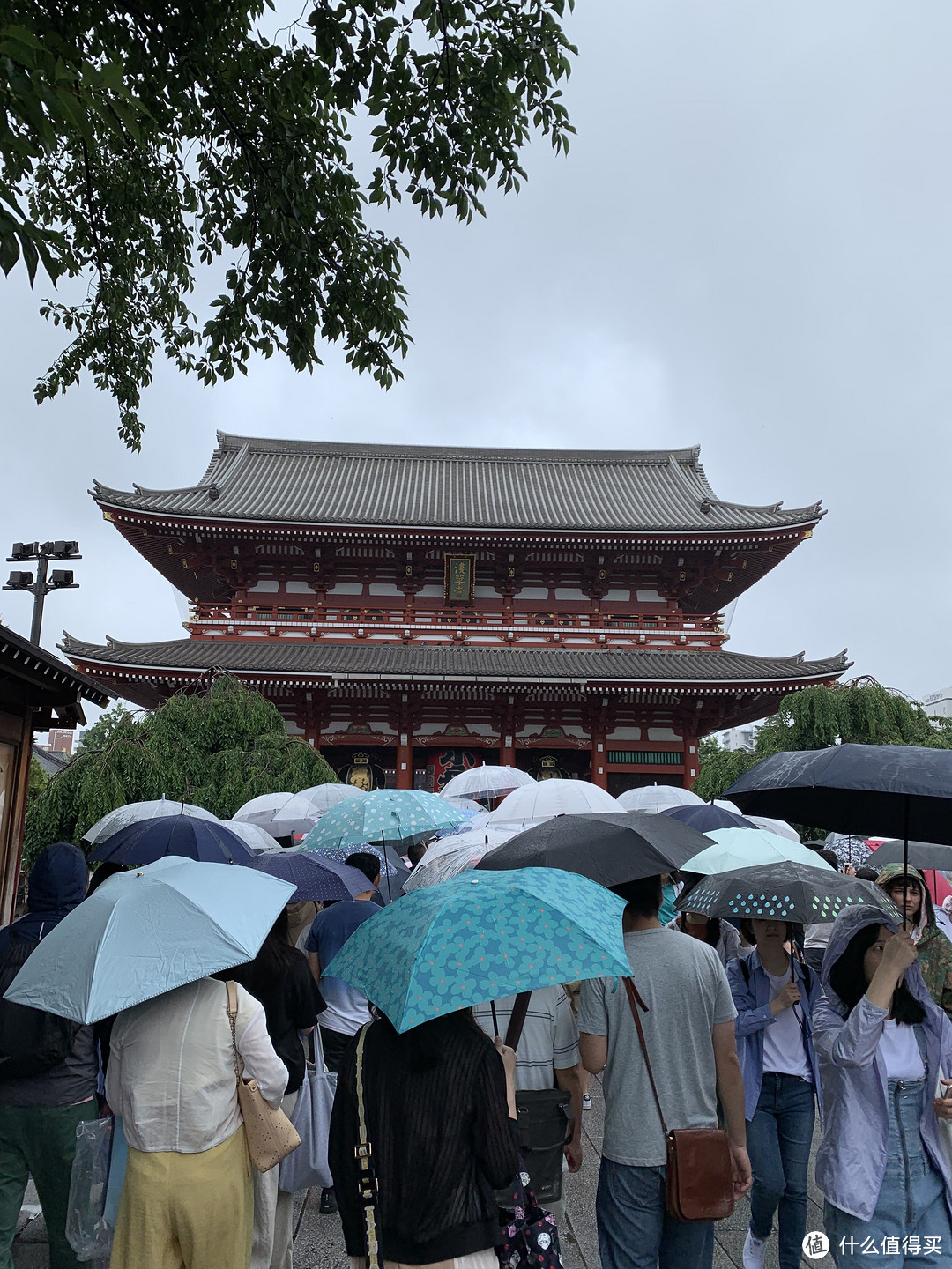 记一次远古时代日本游记：东京养生游