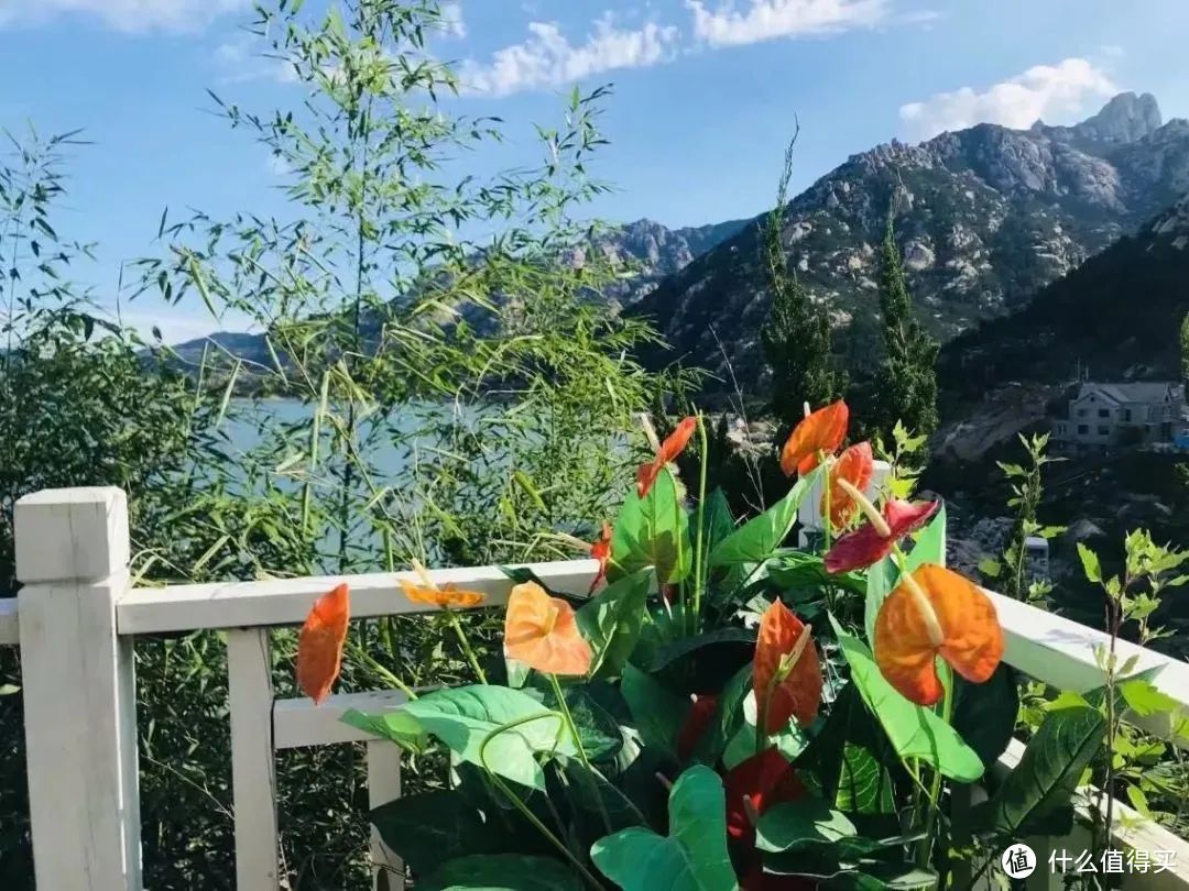 青岛海上「第一仙山」的新玩法