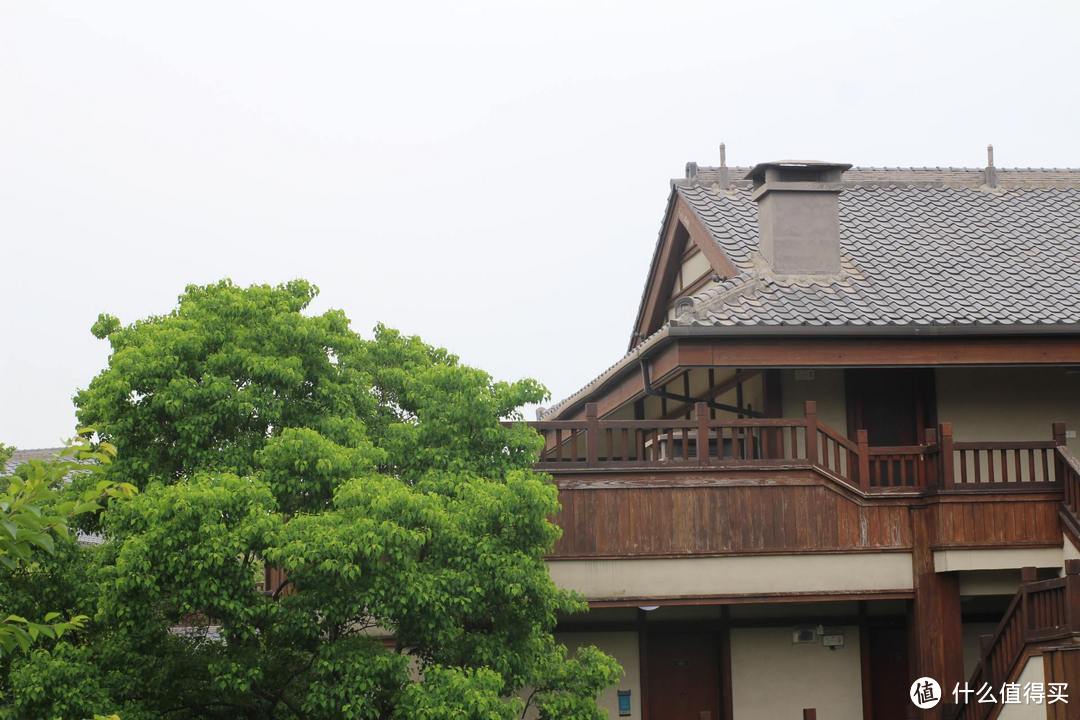 疫情期间，我居然跑去了京都，北海道，白川乡