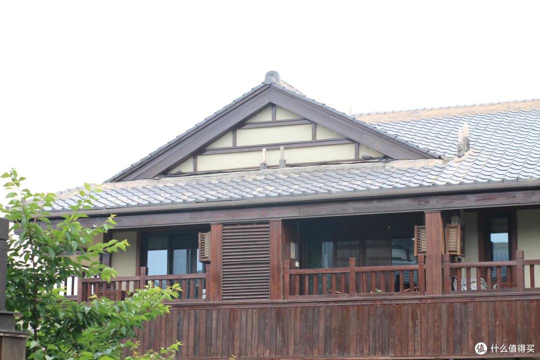 疫情期间,我居然跑去了京都,北海道,白川乡