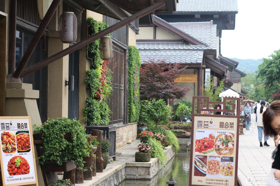 疫情期间,我居然跑去了京都,北海道,白川乡
