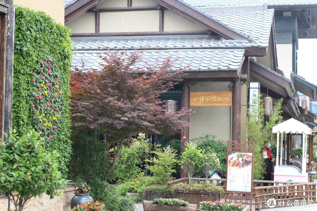 疫情期间,我居然跑去了京都,北海道,白川乡