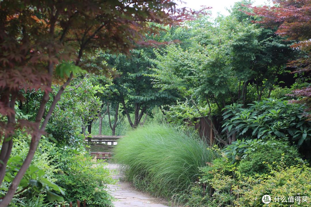 疫情期间，我居然跑去了京都，北海道，白川乡