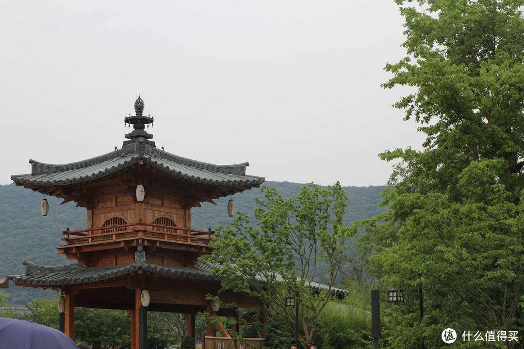 疫情期间，我居然跑去了京都，北海道，白川乡