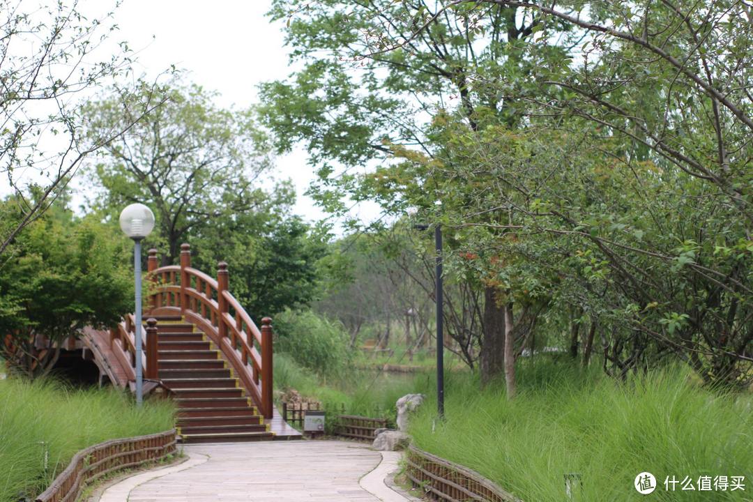 疫情期间，我居然跑去了京都，北海道，白川乡