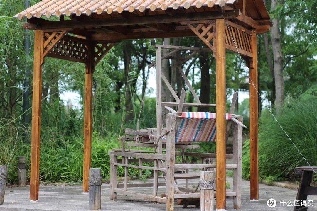 疫情期间,我居然跑去了京都,北海道,白川乡