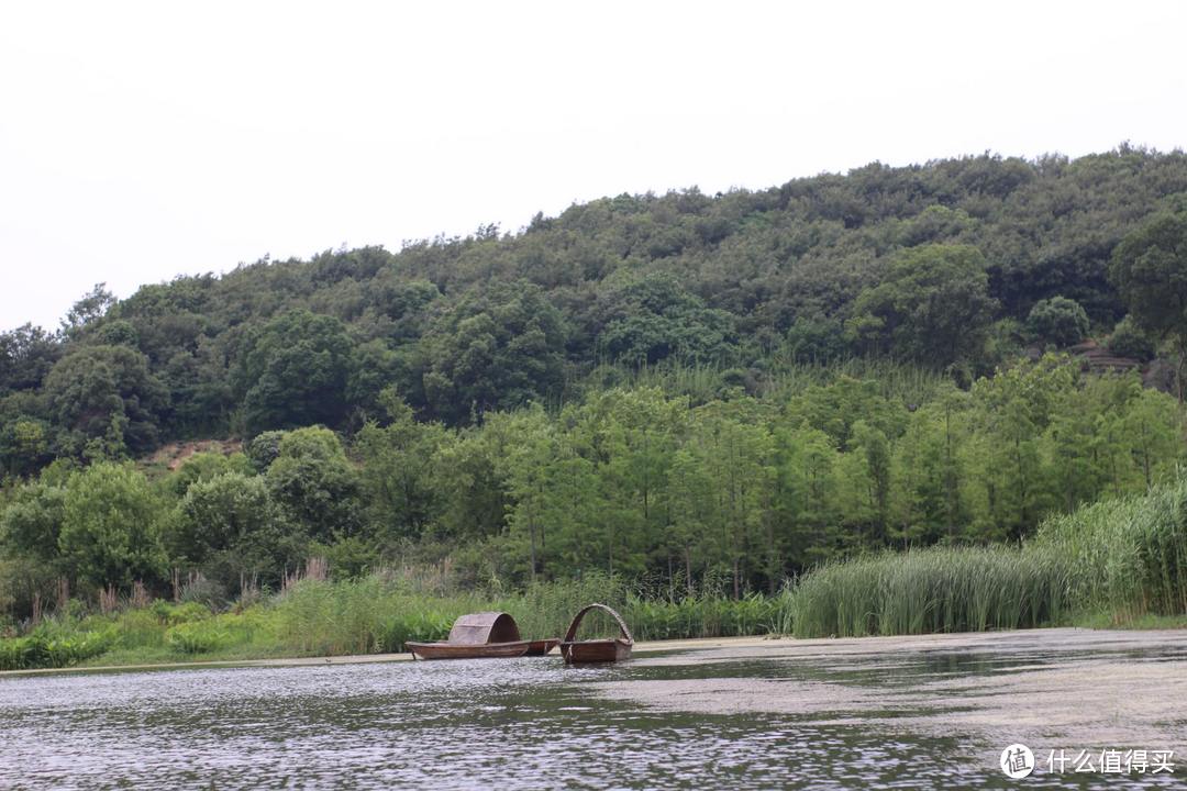 疫情期间，我居然跑去了京都，北海道，白川乡