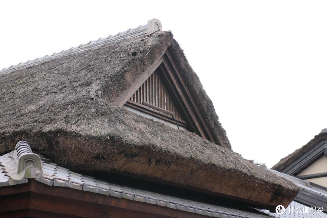 疫情期间，我居然跑去了京都，北海道，白川乡