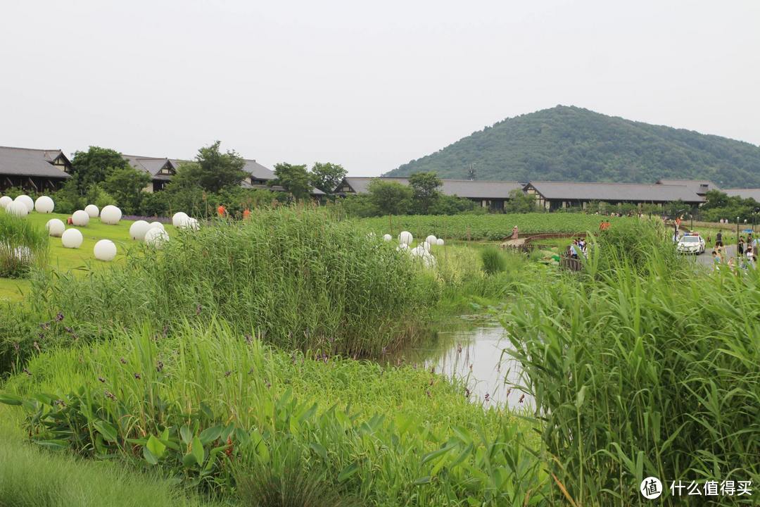 疫情期间,我居然跑去了京都,北海道,白川乡