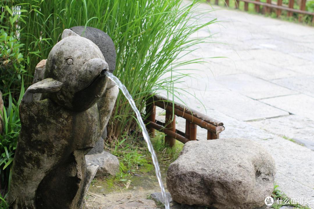 疫情期间,我居然跑去了京都,北海道,白川乡