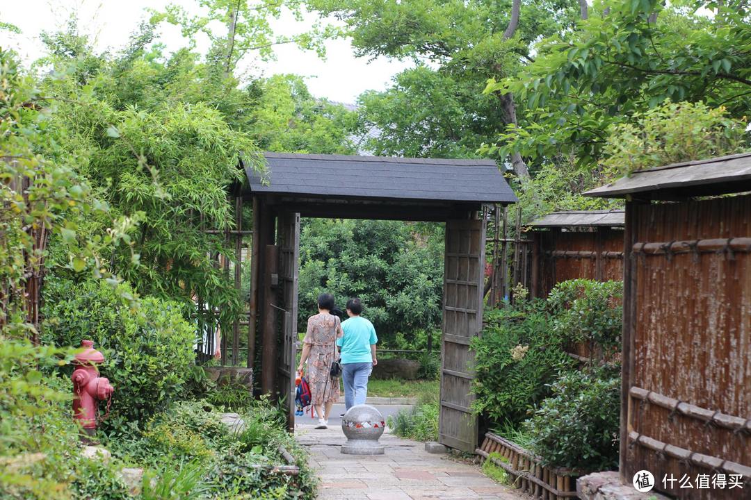 疫情期间,我居然跑去了京都,北海道,白川乡