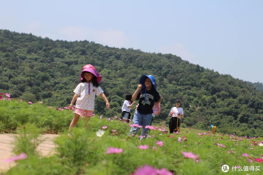 疫情期间,我居然跑去了京都,北海道,白川乡