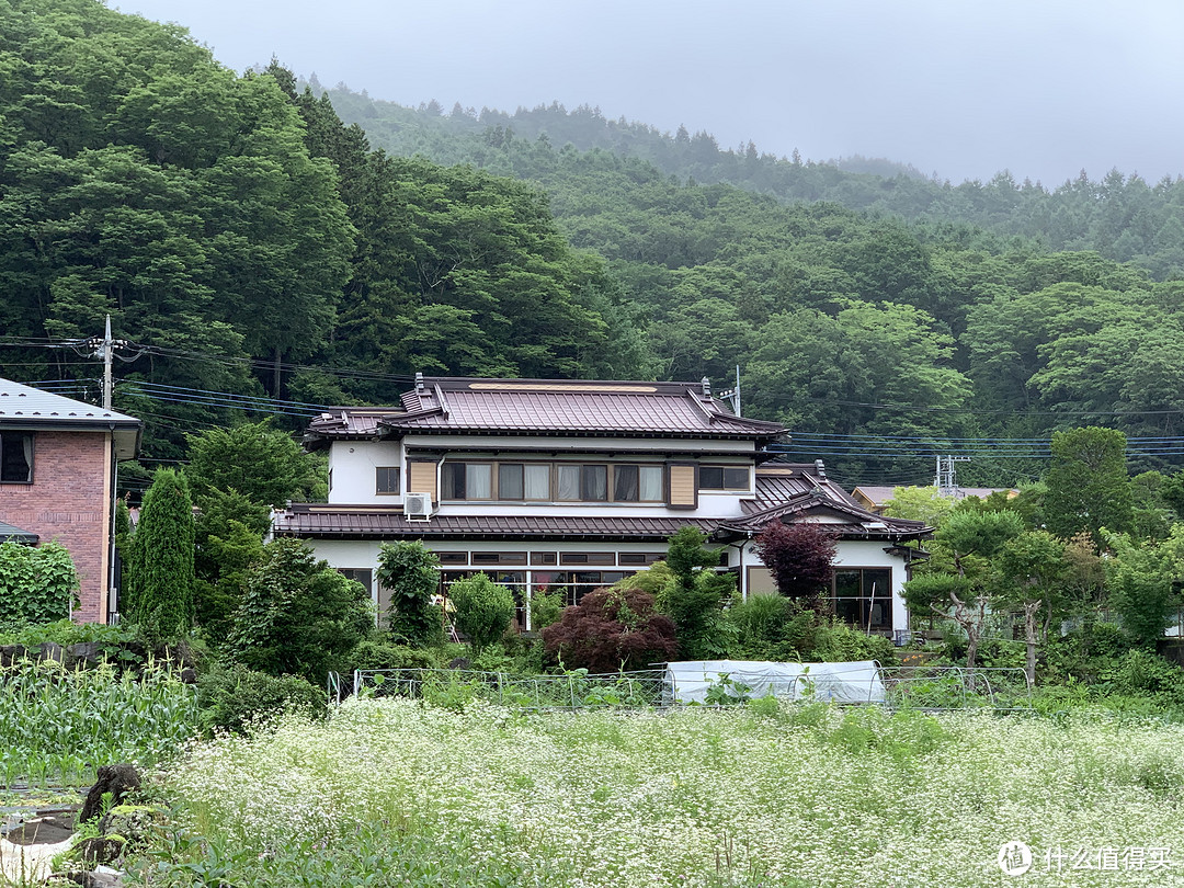 记一次远古时代日本游记：东京养生游