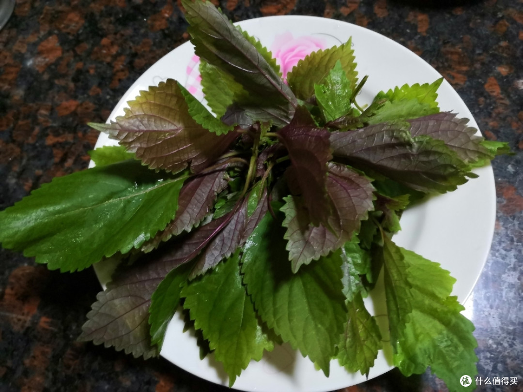自创咸水鸭