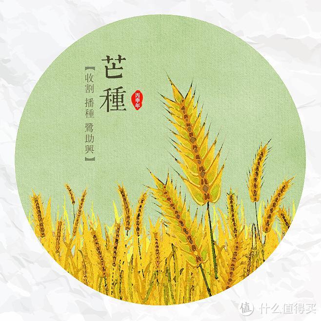 夏季到,赘肉翘!开始跑步吧,迪卡侬为你提供装备!