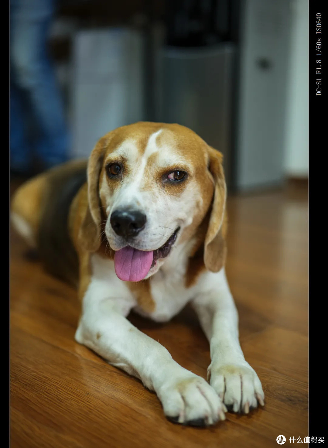 松下全画幅第二支50mm F1.8人像新镜首发——史上最低全画幅镜头