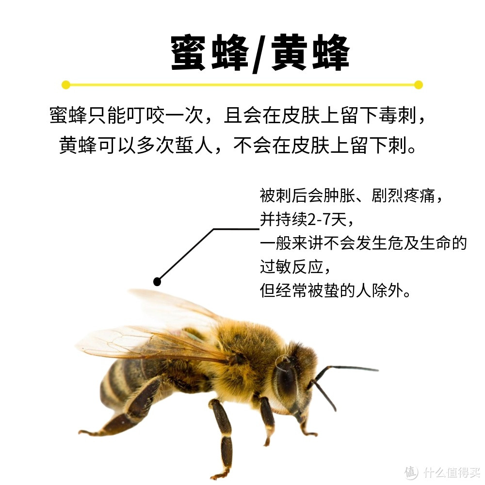 一图教你分辨，夏天常见红点/皮疹都是啥蚊虫咬的？这4种情况，千万不要拍打！（附护理指南）