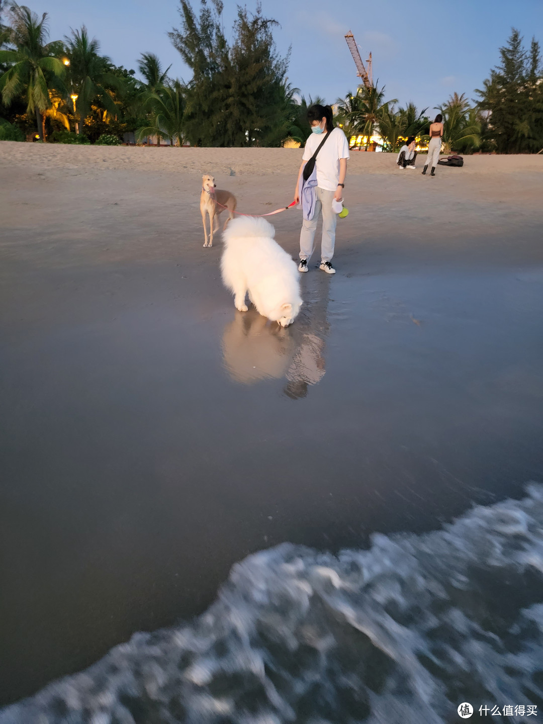 6天6晚，夏日租车海南游