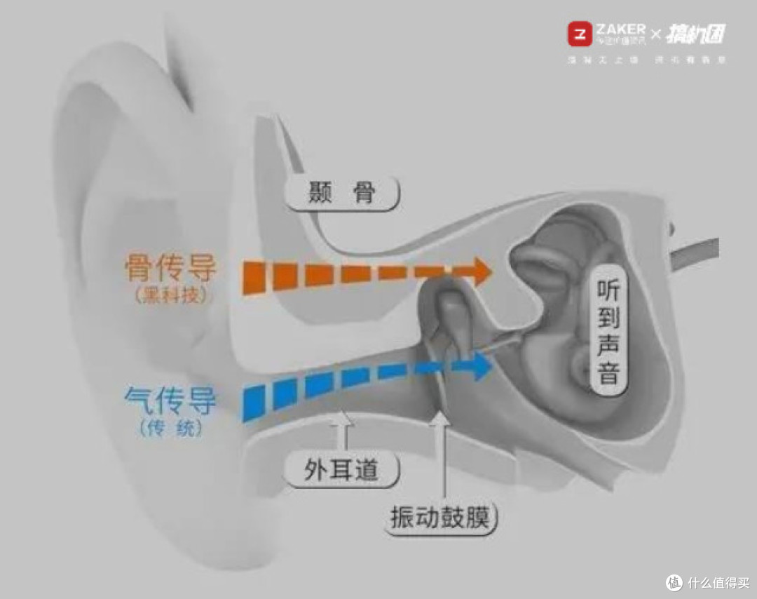 集齐南卡三兄弟,跑步开会一站齐——南卡RUNNER CC II测评报告