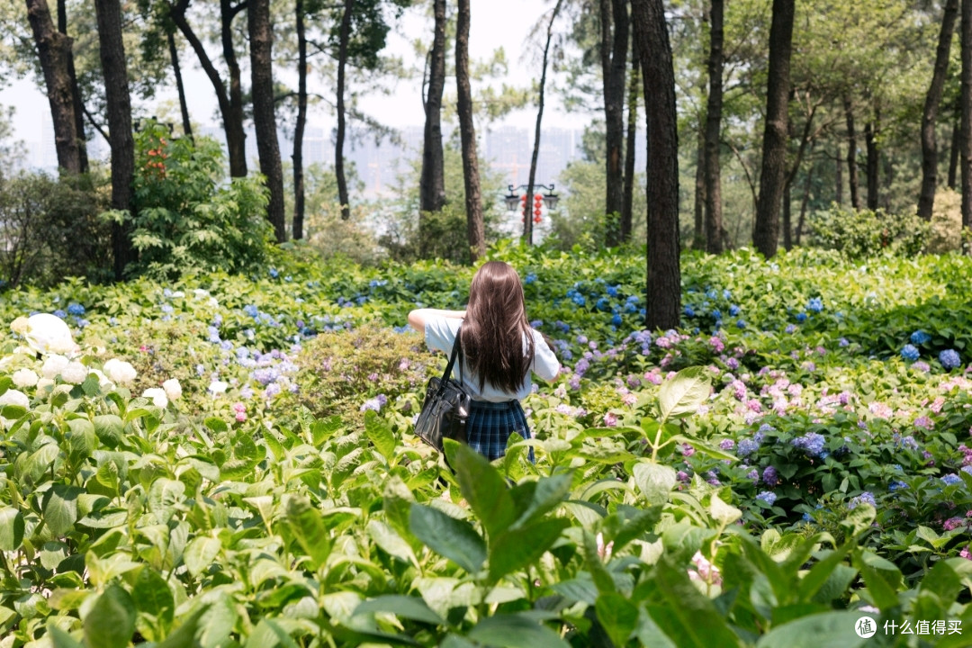 这也是借物遮挡没真的到花丛里