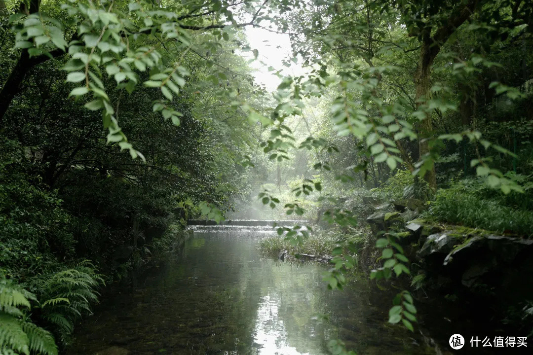 花了三天在西湖找“碑”，告诉你西湖最隐秘的角落都在哪！