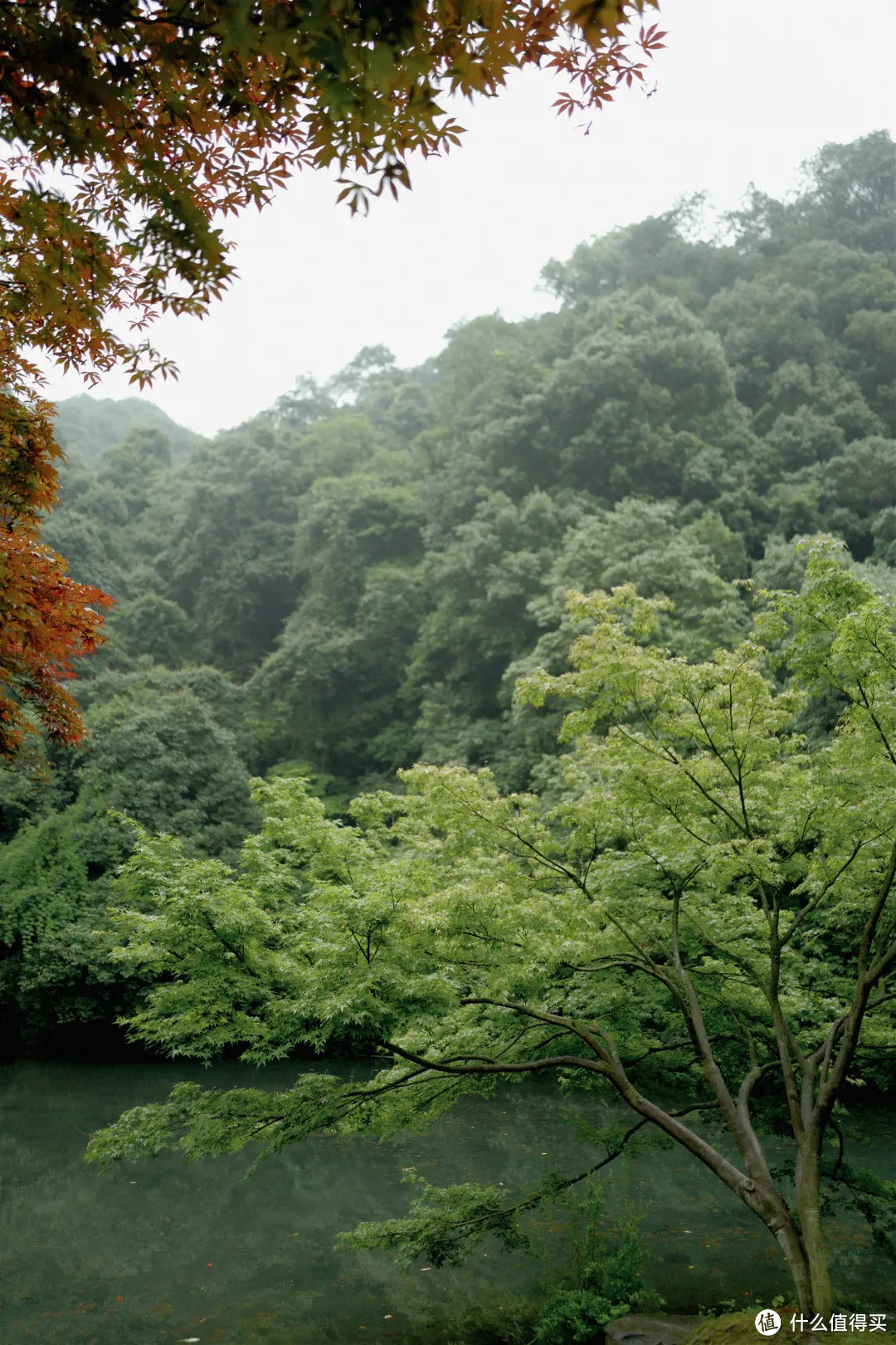 花了三天在西湖找“碑”，告诉你西湖最隐秘的角落都在哪！