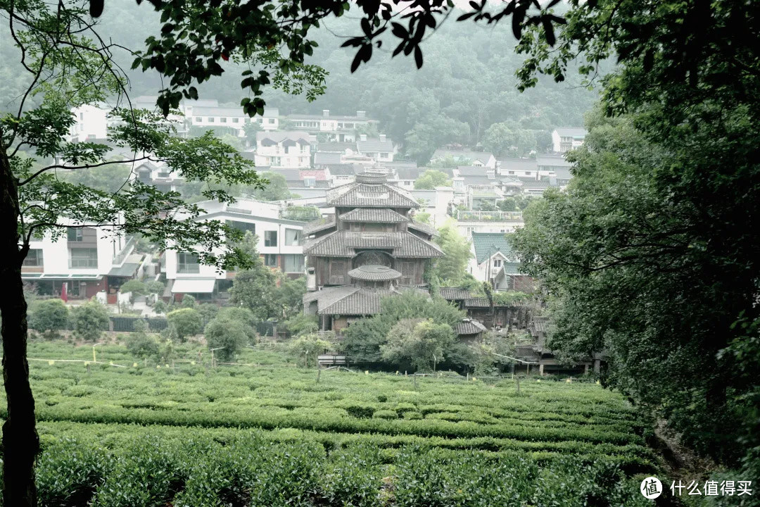 花了三天在西湖找“碑”，告诉你西湖最隐秘的角落都在哪！