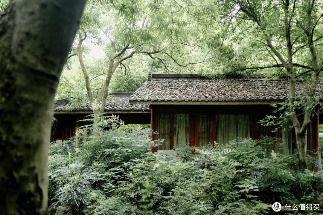 花了三天在西湖找“碑”，告诉你西湖最隐秘的角落都在哪！