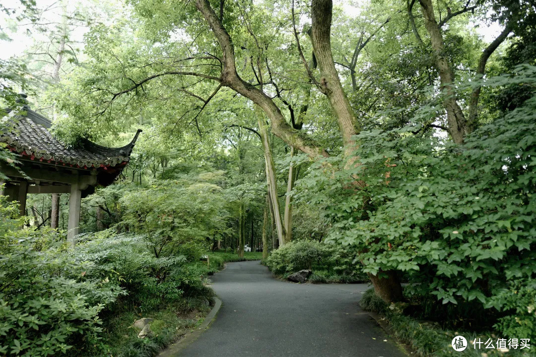 花了三天在西湖找“碑”，告诉你西湖最隐秘的角落都在哪！