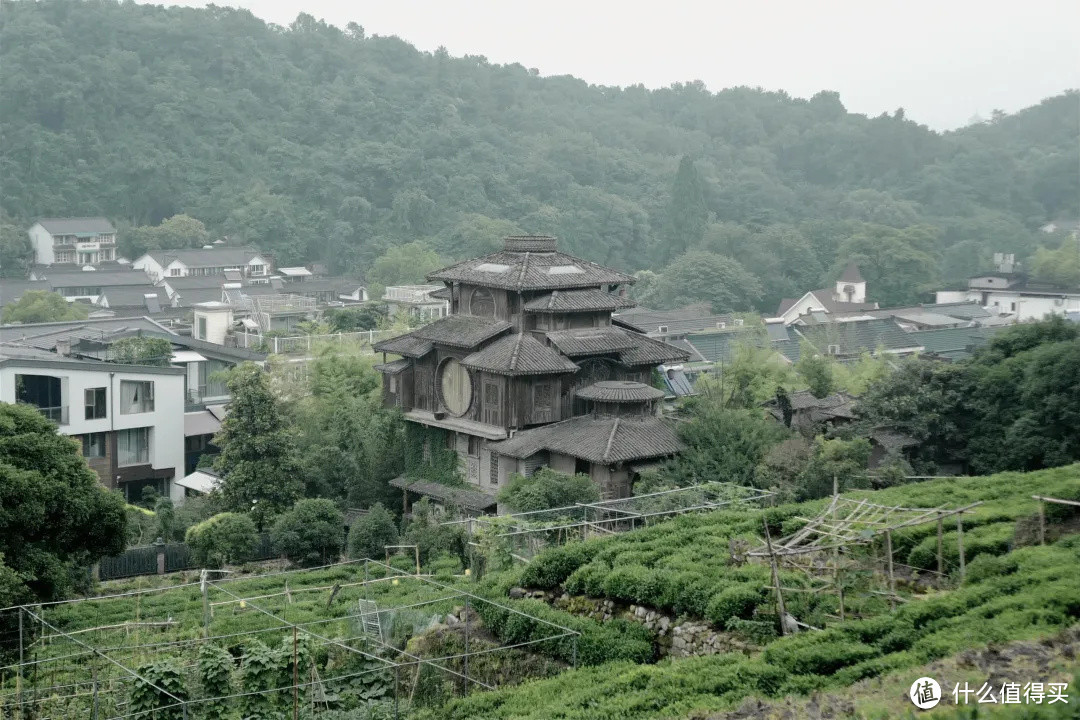 花了三天在西湖找“碑”，告诉你西湖最隐秘的角落都在哪！