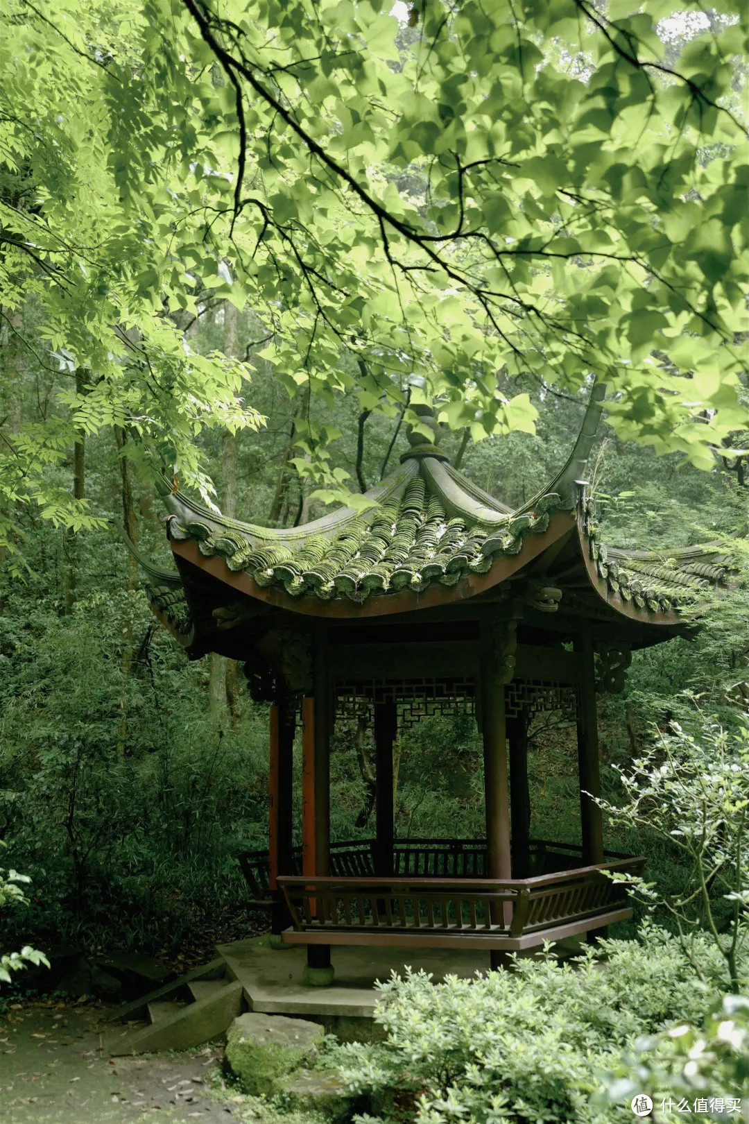 花了三天在西湖找“碑”，告诉你西湖最隐秘的角落都在哪！