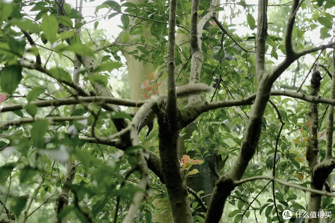 花了三天在西湖找“碑”，告诉你西湖最隐秘的角落都在哪！