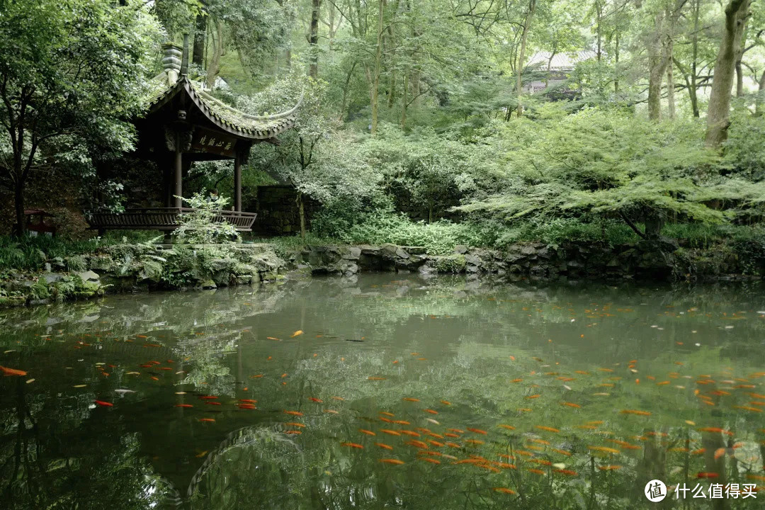 花了三天在西湖找“碑”，告诉你西湖最隐秘的角落都在哪！