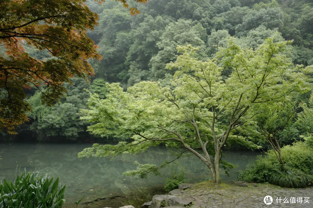 花了三天在西湖找“碑”，告诉你西湖最隐秘的角落都在哪！