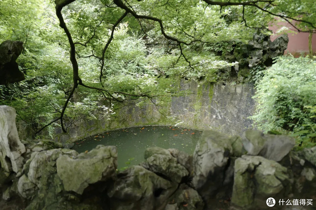 花了三天在西湖找“碑”，告诉你西湖最隐秘的角落都在哪！