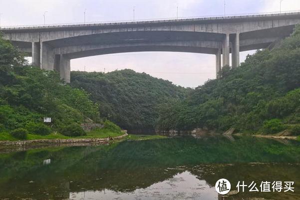 贵阳一河道发现“斑点鱼”，钓鱼人：密密麻麻下钩就咬，第一次见