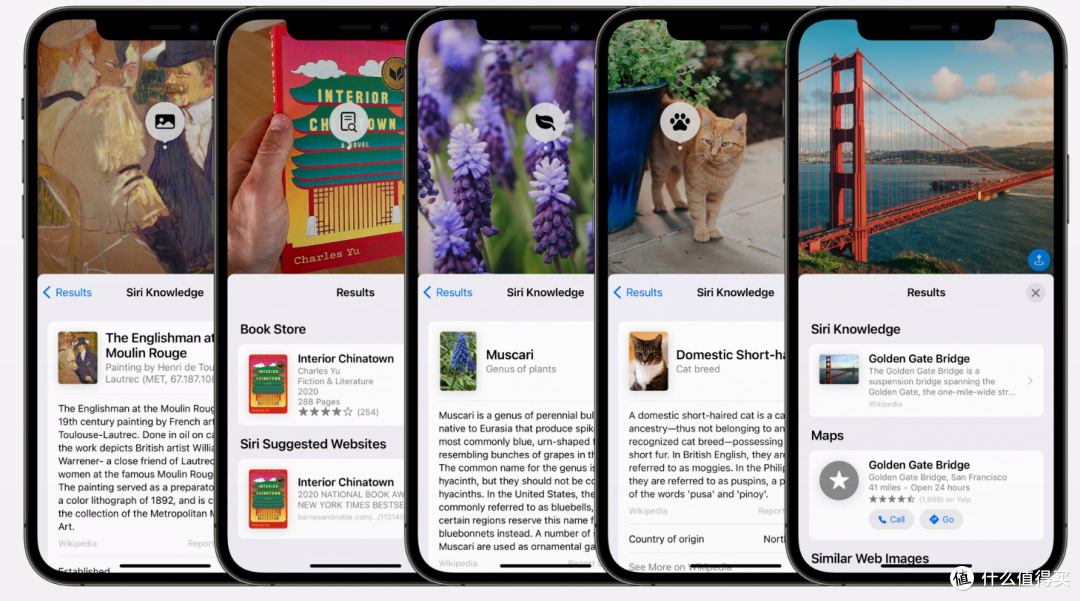 iOS 15、iPadOS 15发布,这大概是苹果“最朴实无华”的发布会...
