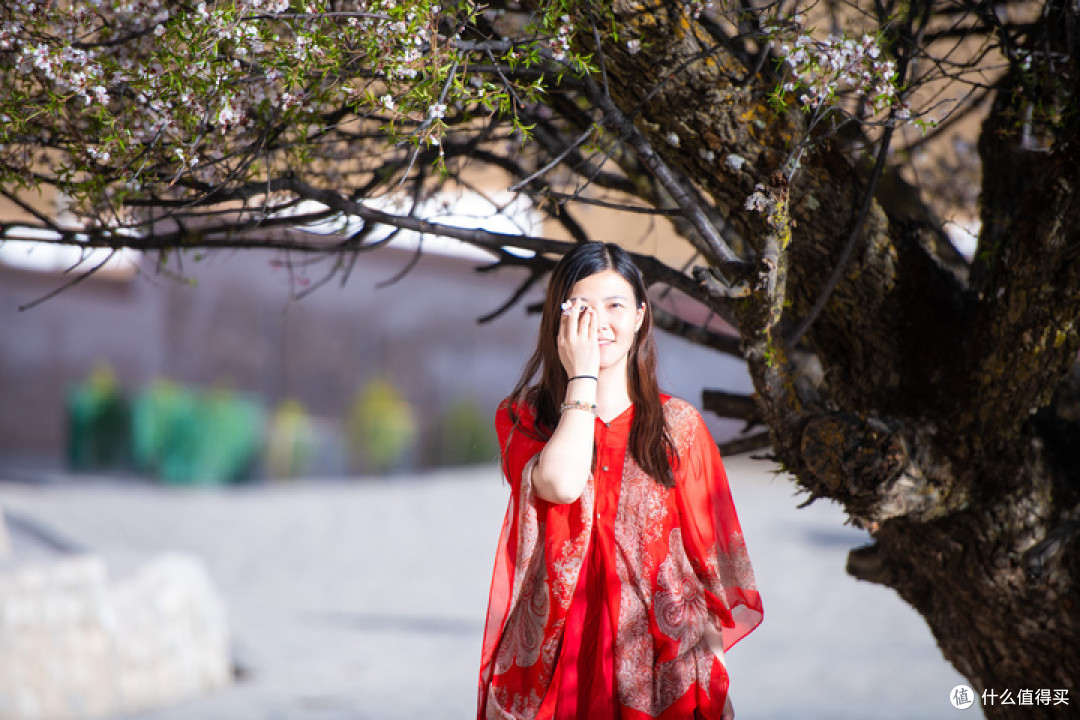 两人一狗的蜜月旅行——20天川滇藏青甘大环线超详细自驾攻略（中）