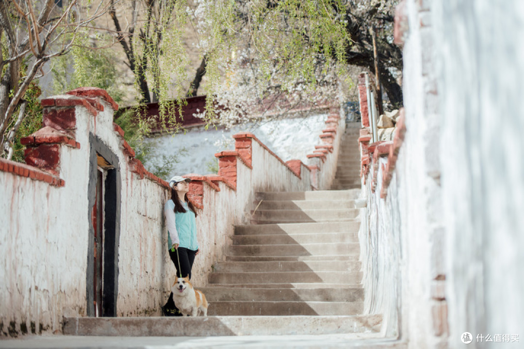 两人一狗的蜜月旅行——20天川滇藏青甘大环线超详细自驾攻略（中）