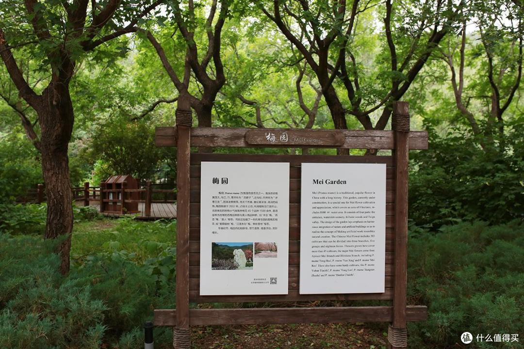 避暑新选择,植物园还是你喜欢的那个样子么?