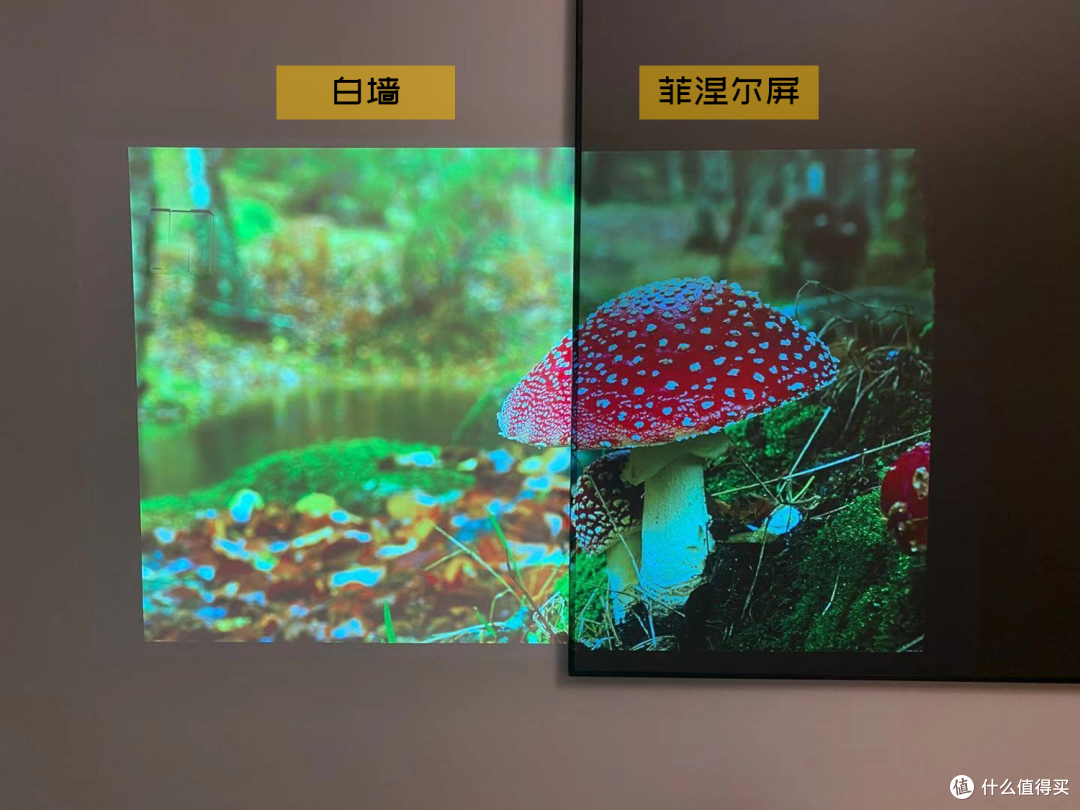 如果你有一万块,电视VS投影怎么选?我来说说看