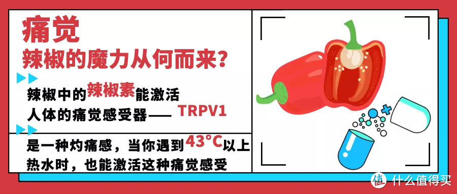 辣到眼泪狂飙却还是停不下嘴，12款爆辣零食推荐，第一款至今无人能笑着吃完