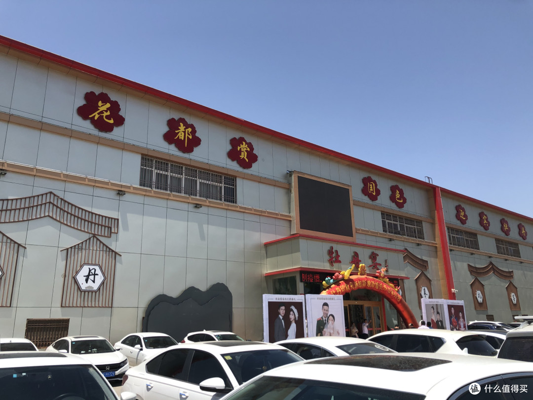 18道菜4道汤,22道菜才799元,三线城市的婚宴菜实惠吗?