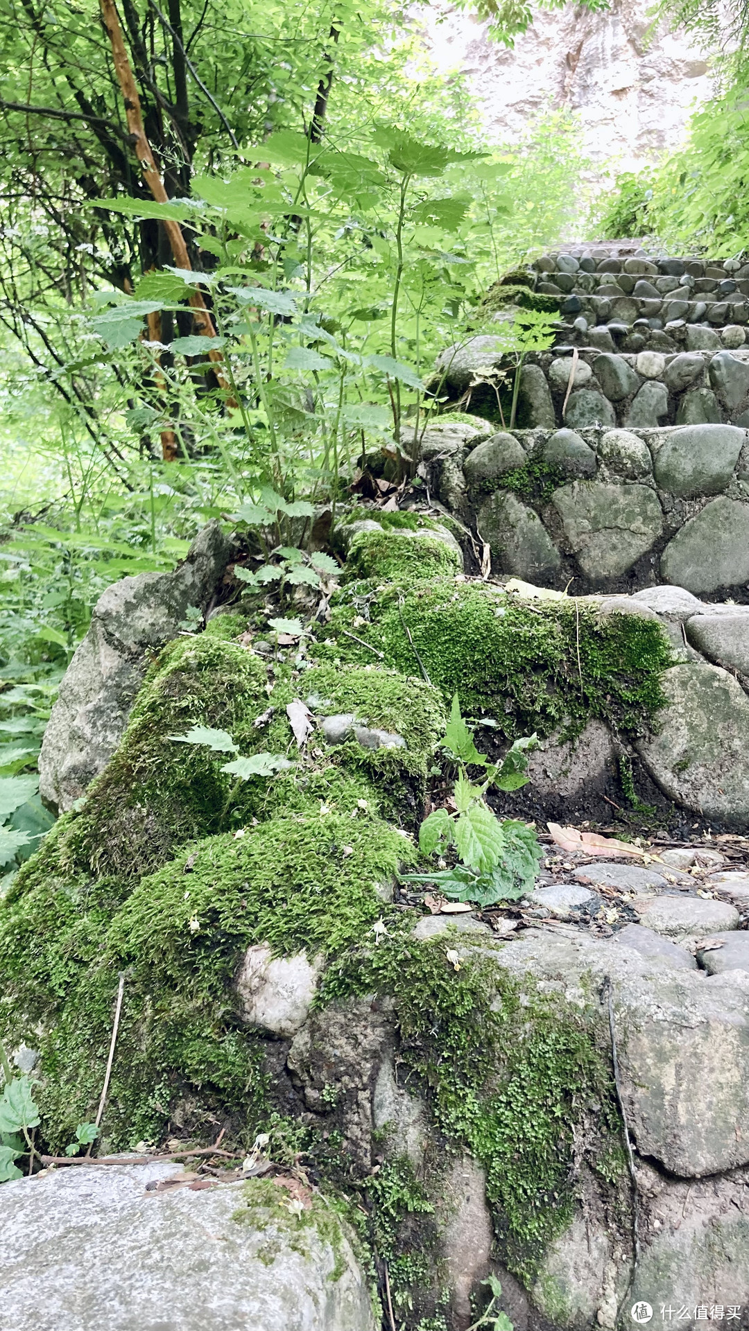 拒绝人山人海的拥挤，自驾去冶力关风景区（甘南）一日游，享受人少景美和骑马游船的乐趣